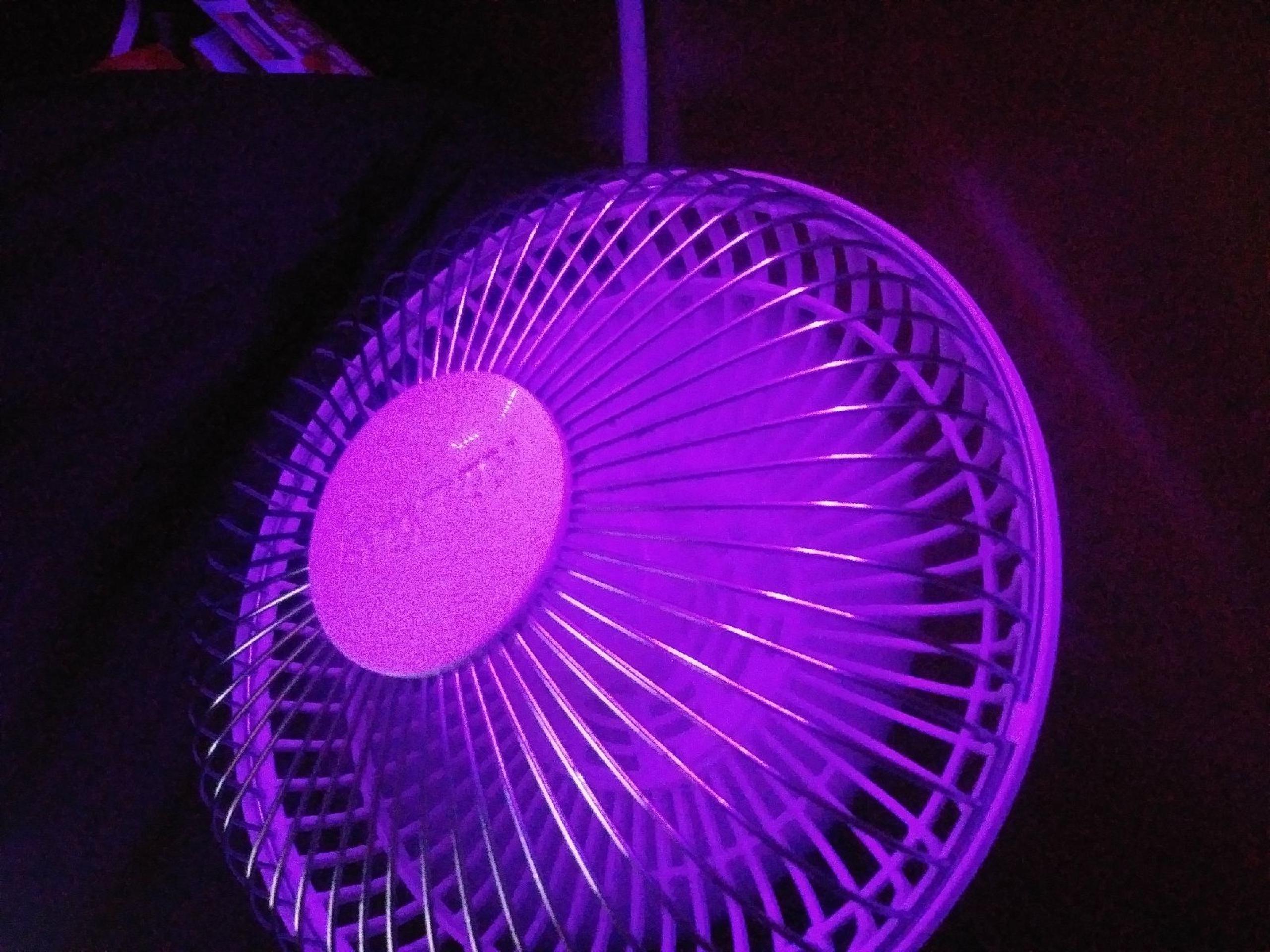 fans