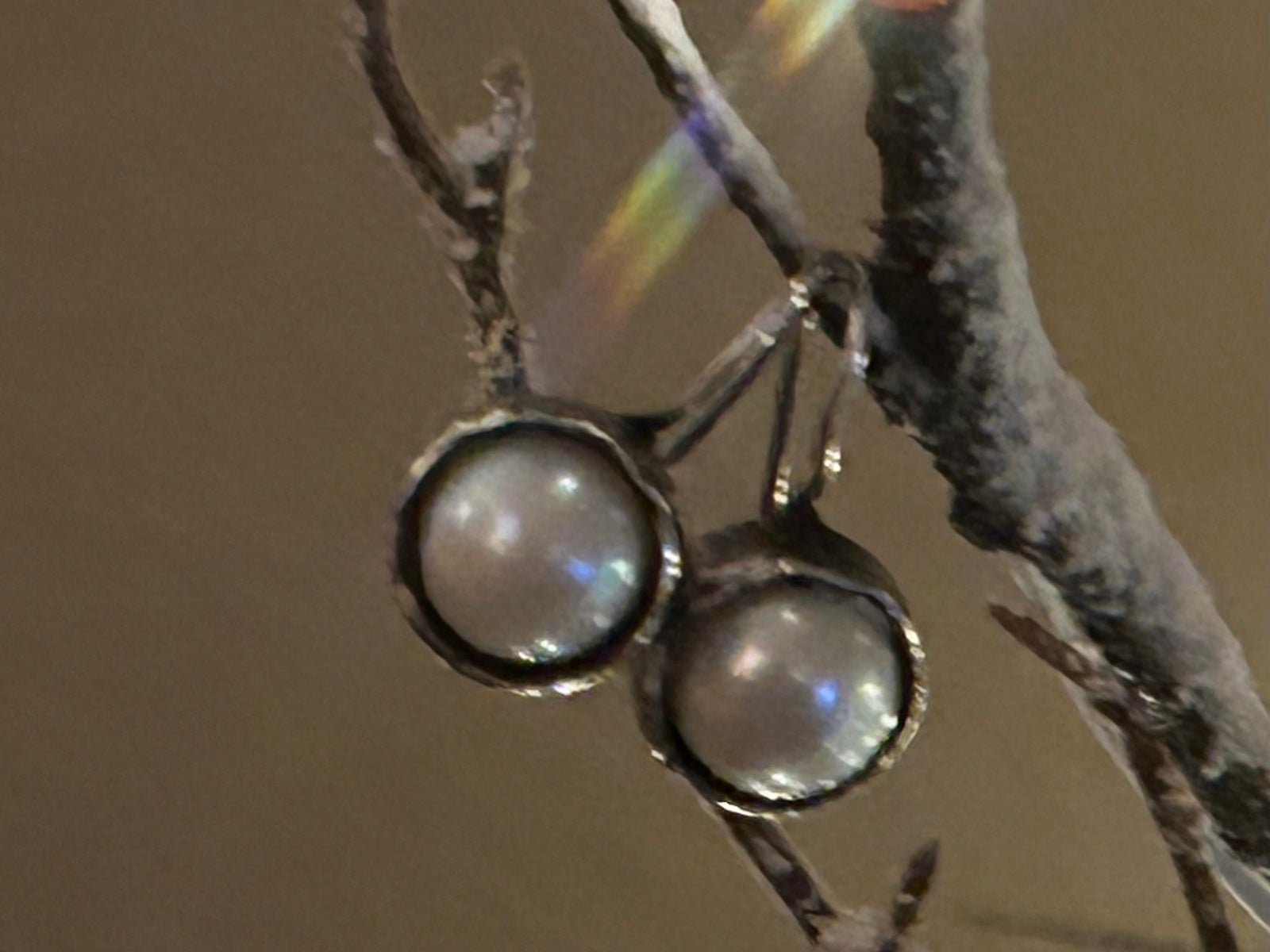 Silpada Margarite Pearl Earrings W1750 Sterling Silver