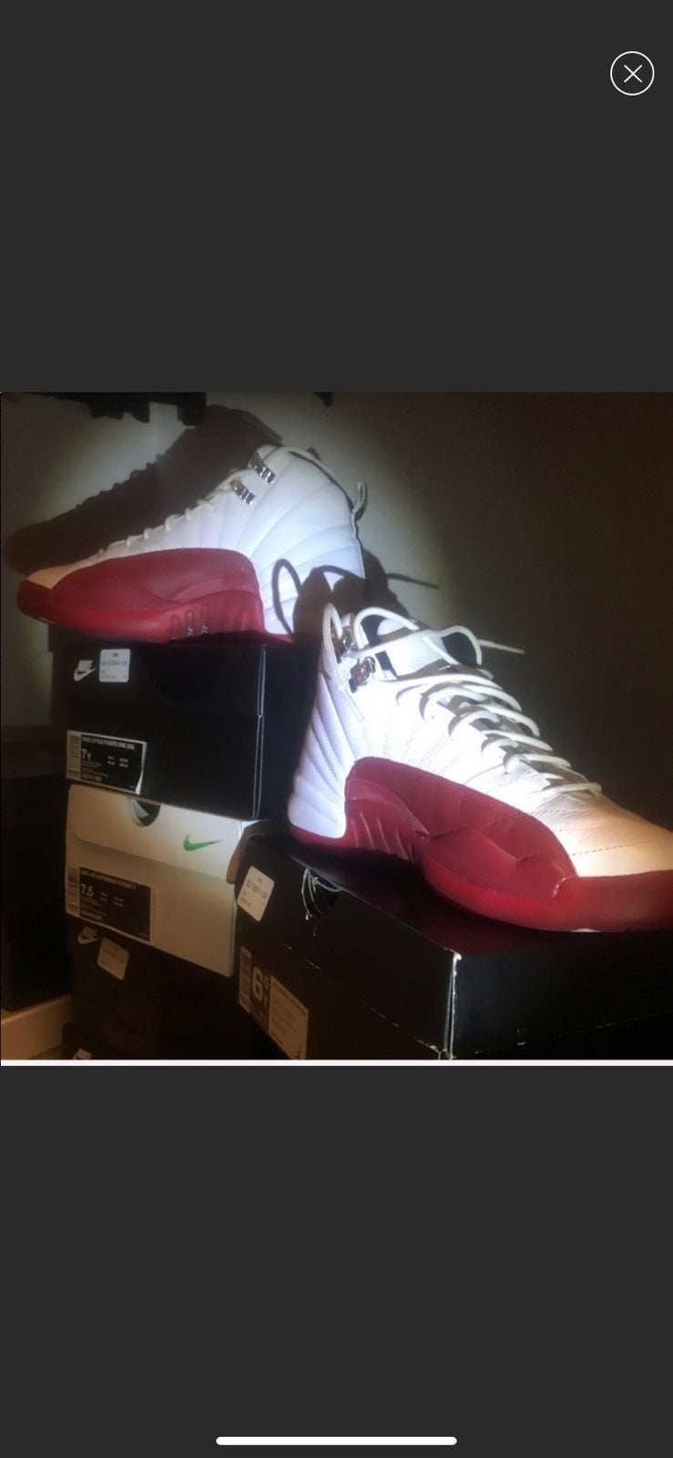 Jordan retro 12