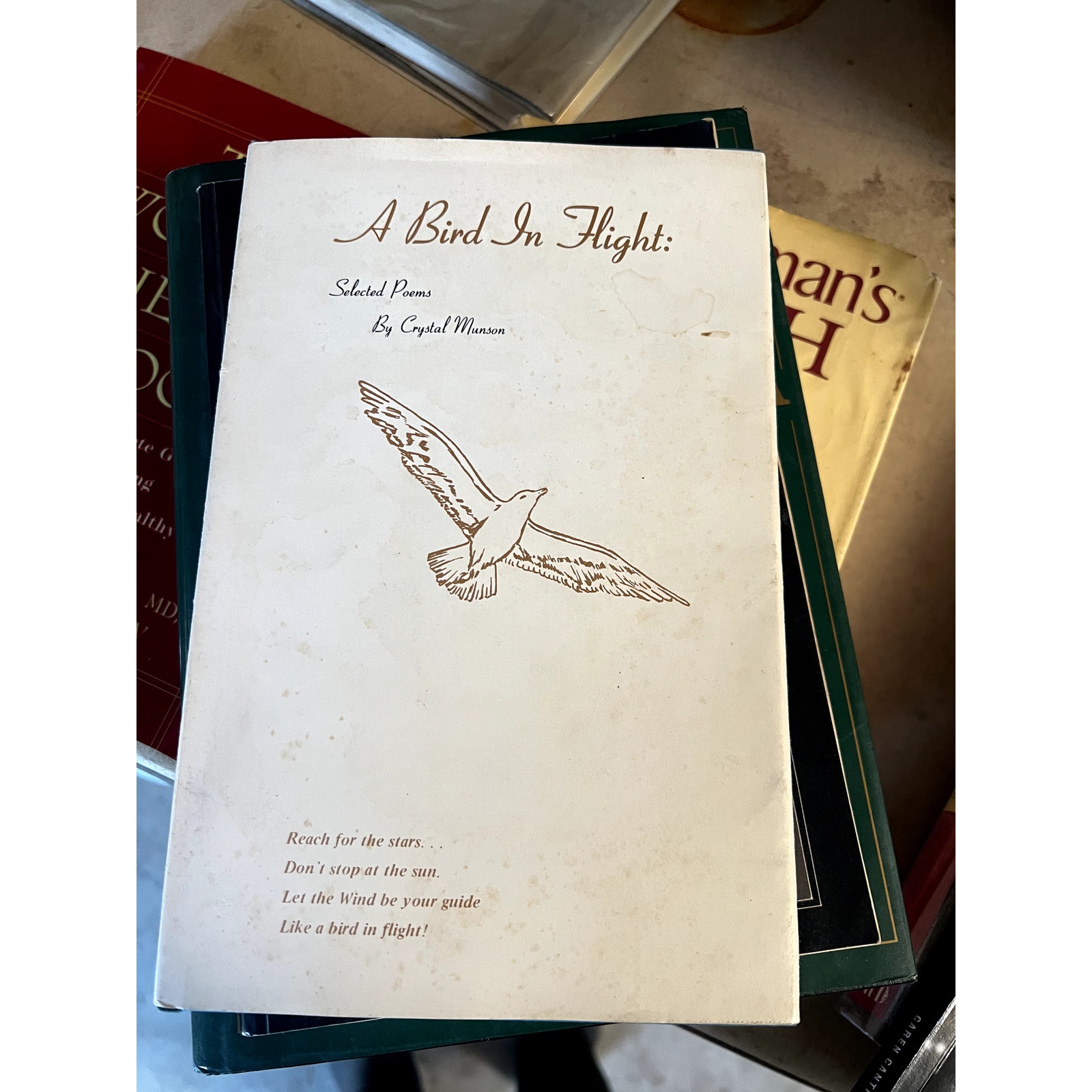 ONE OF A KIND! A Bird In Flight | A book of poems by Crystal Munson | SIGNED