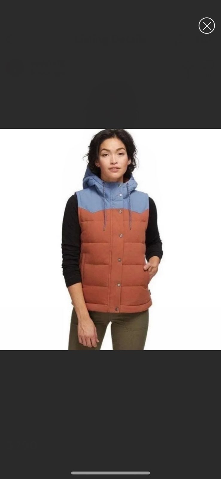 Patagonia Bivy Vest, Sisu Brown blue