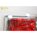 Eurolite 064320 Ranger 93-97 Tail Lights KS-FR290