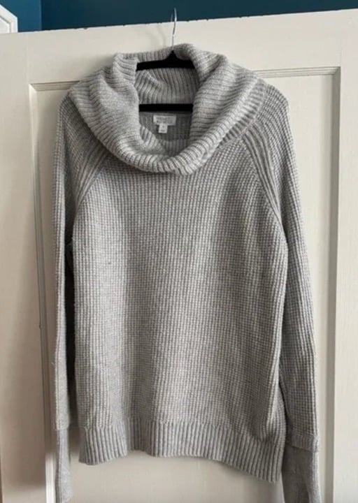 Market and Spruce Turtleneck Sweater