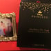 Disney Go Pin Pro Princess Frame Mystery Pin Cinderella & Prince Charming LE 300