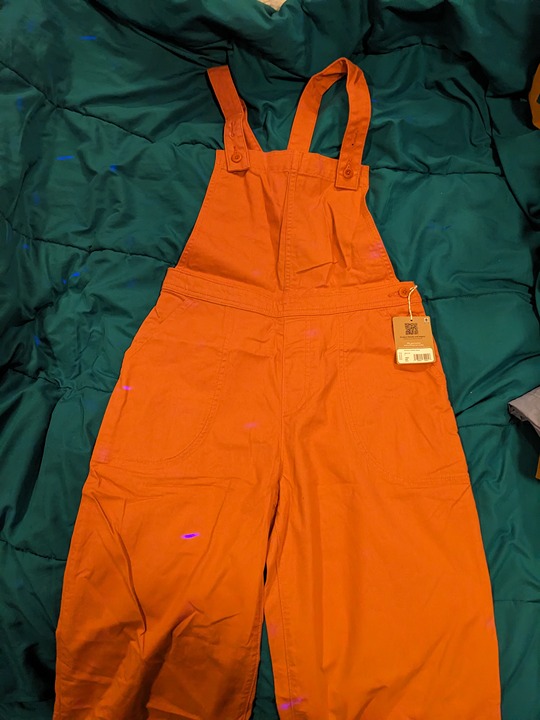Patagonia Women's Overalls