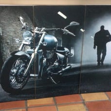 Harley Davidson Motorcycle Wall Decor 3 piece set