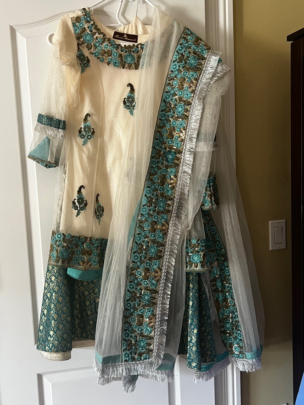 Indian Pakistani dress