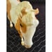 Breyer Traditional Misty of Chincoteague Palemino Pinto Pony