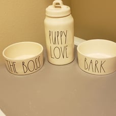 Rae Dunn Dog Set