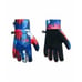 The North Face Women’s Etip Glove Flag Blue Palmitos Print Size Large