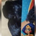 Costume:* DC super hero girls Wonder Woman wig & complete Costume Dress Up Sz L
