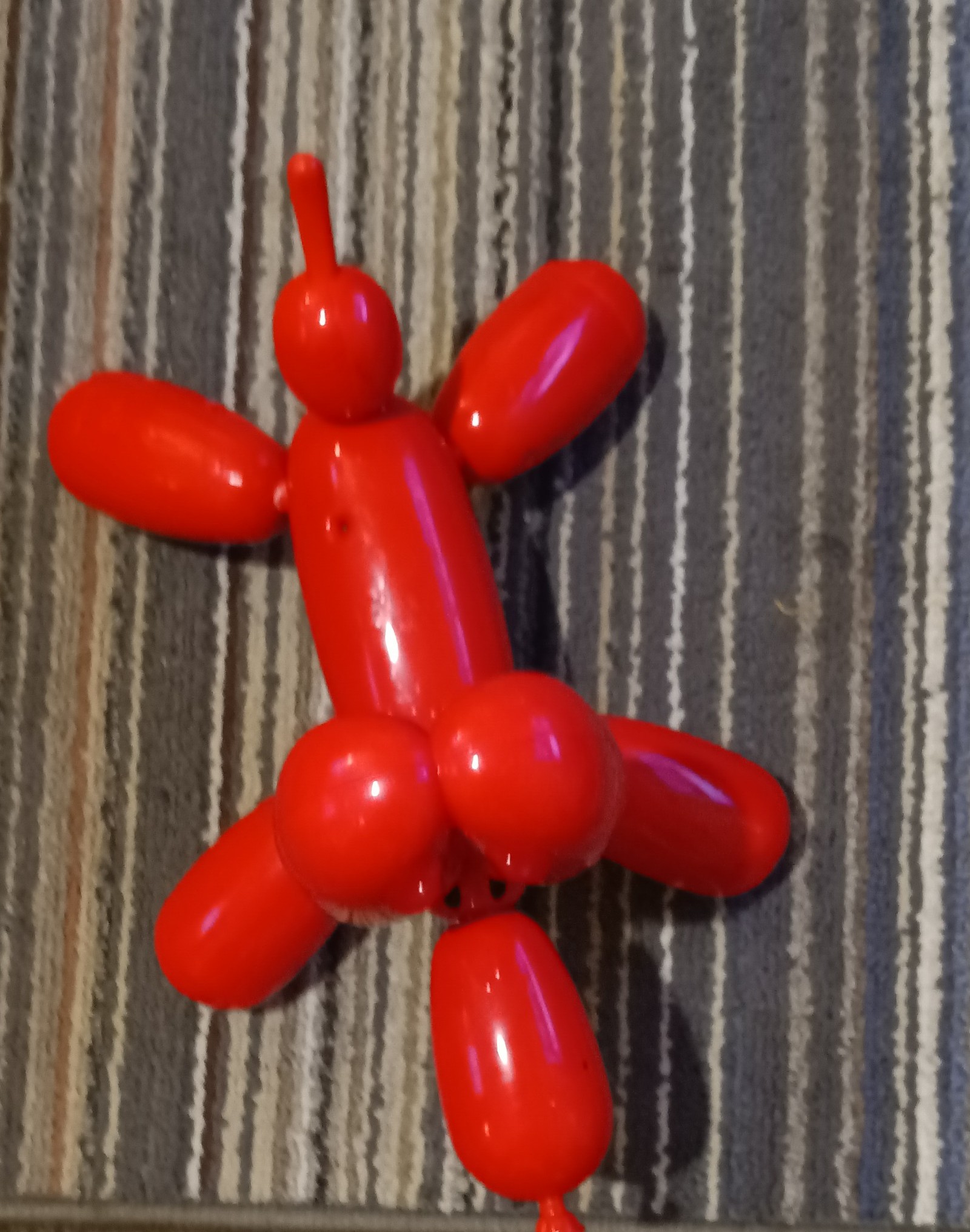 Squeakee Dog
