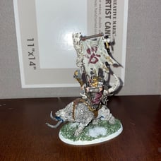 Prepainted Beast Raiders Warhammer set