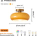 Ceiling Light