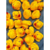 200 Pieces Mini Rubber Ducks Floating Bath Ducks