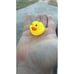 200 Pieces Mini Rubber Ducks Floating Bath Ducks