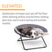 Elevated Pet Cot For Dogs & Cats By K&H Large Machine Washable Cover Collapsible