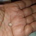 FREE SHIPPING!! Natural 1.0ct Oval RARE Bluish Green French Amblygonite