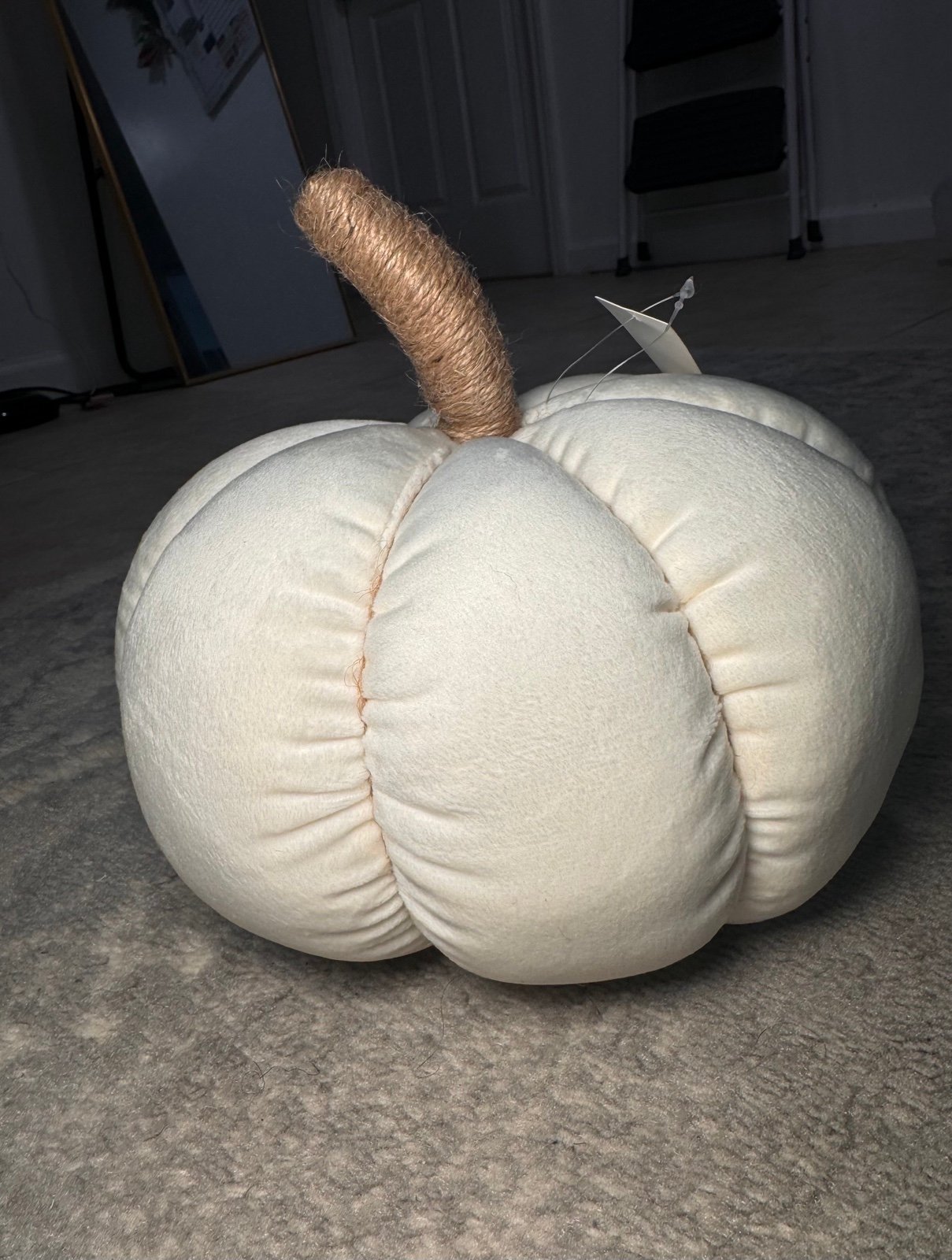 Pumpkin