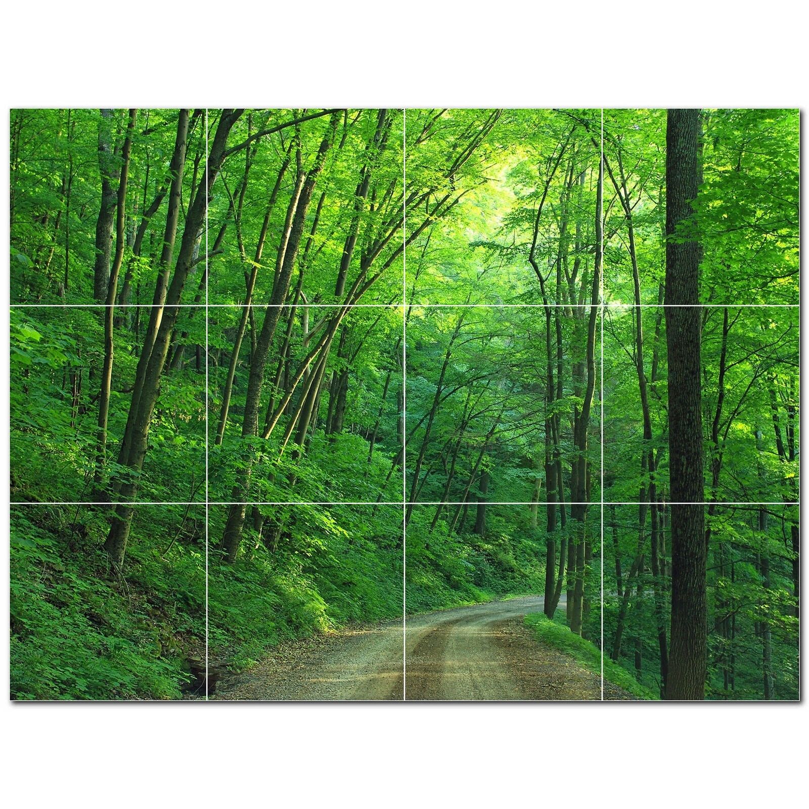 Trees Ceramic Tile Wall Mural PT501036. 17 W x 12.75 H (12) 4.25 tiles