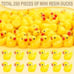 selizo 250PCS Mini Resin Ducks, Tiny Plastic Ducks Little Ducks to Hide, Small