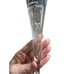 Vintage Perrier Jouet Hollow Stem White Flower Champagne Flutes RARE Cocktail Gl