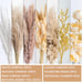 Pampas Grass Decor |Dried pompas Grass Boho Dried Floral Arrangement Centerpiece