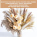 Pampas Grass Decor |Dried pompas Grass Boho Dried Floral Arrangement Centerpiece