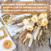 Pampas Grass Decor |Dried pompas Grass Boho Dried Floral Arrangement Centerpiece