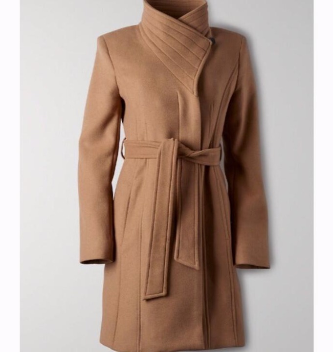 Aritzia has a thick wool coat with a tight waist