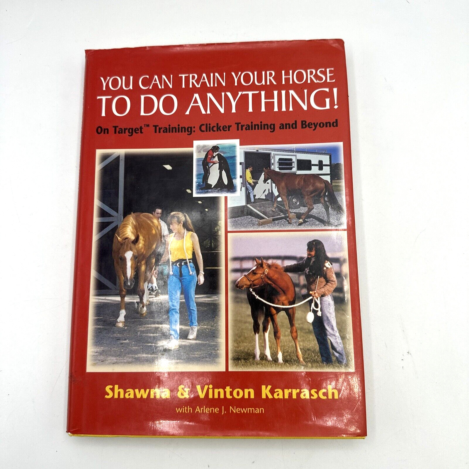 You Can Train Your Horse to Do Anything! On Target & Clicker Training Karrasch