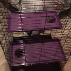 small animal cage