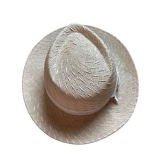 NWT Georgie wicker fedora hat
