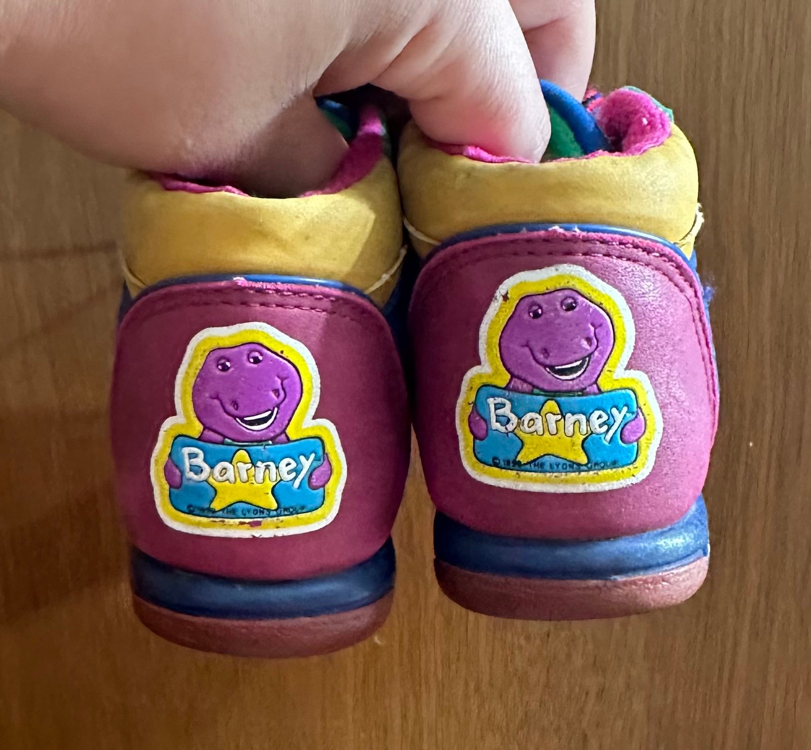 Vintage Barney Shoes