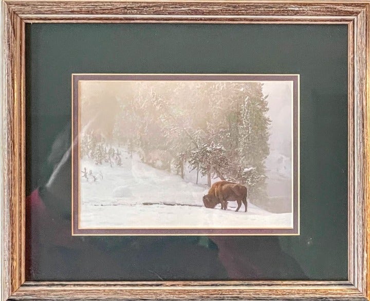 Winter's Robe (Yellowstone National Park) Photo By Gary Crandall