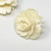 Vintage Belgium 835 Silver Vermeil Celluloid Brooch & Earrings Demi Parure