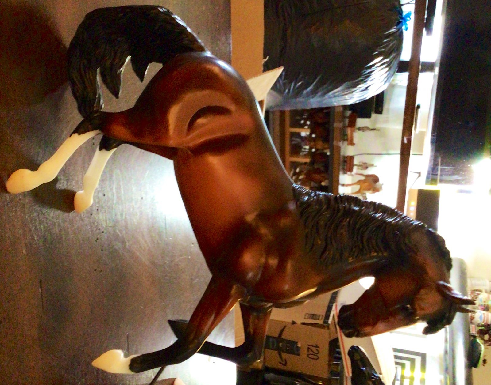 Breyer Jasper