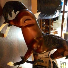 Breyer Jasper