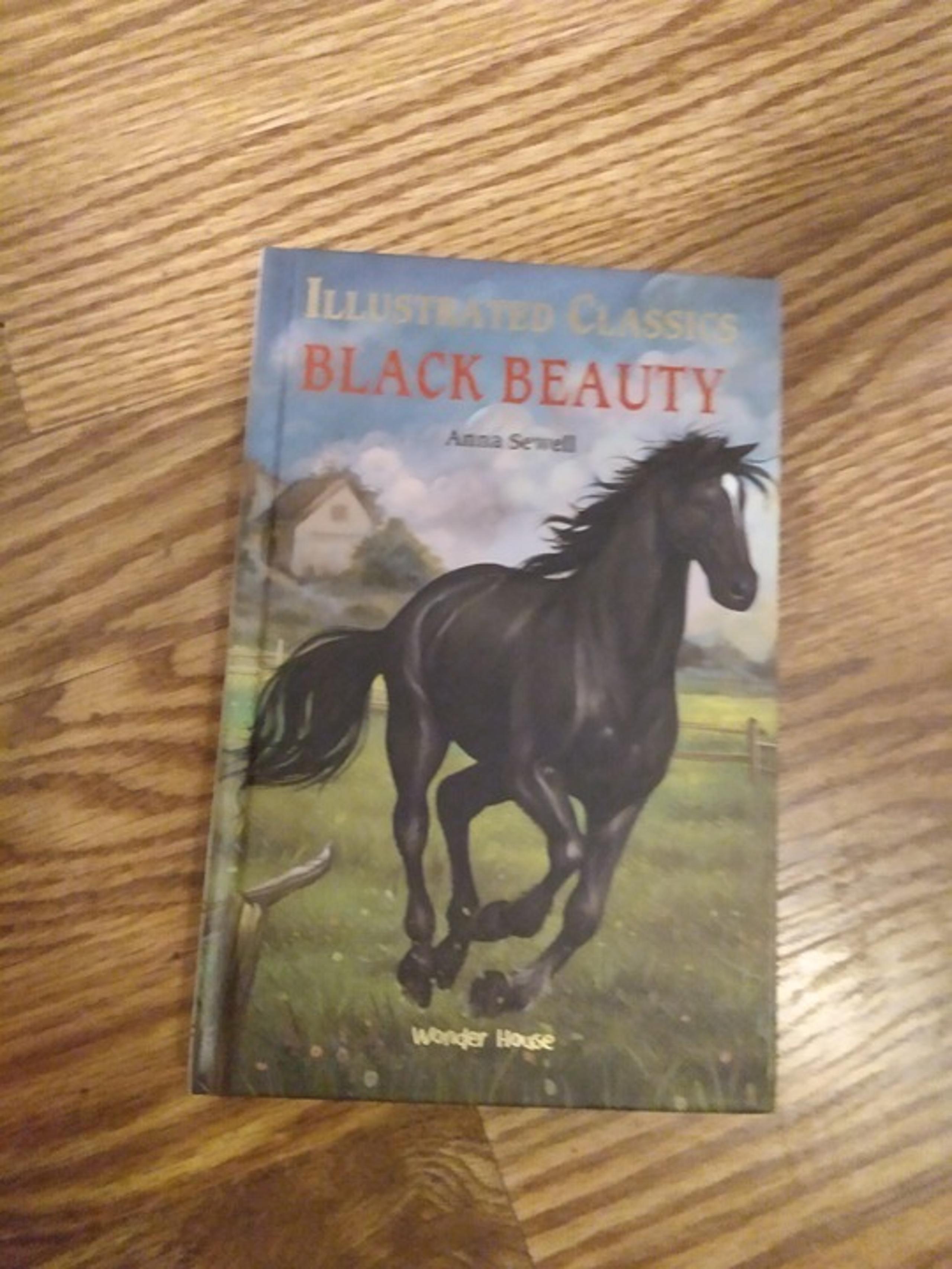Hardcover Children's Black Beauty horse book New