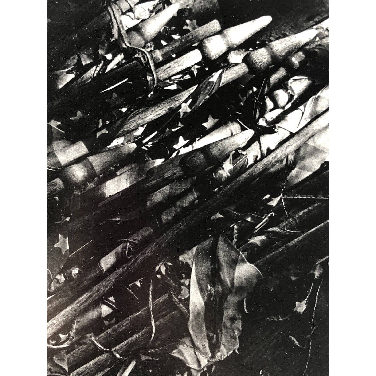 Vintage 1975 Photograph Vietnam Era Art Tattered Flags Signed Joseph Duze USA
