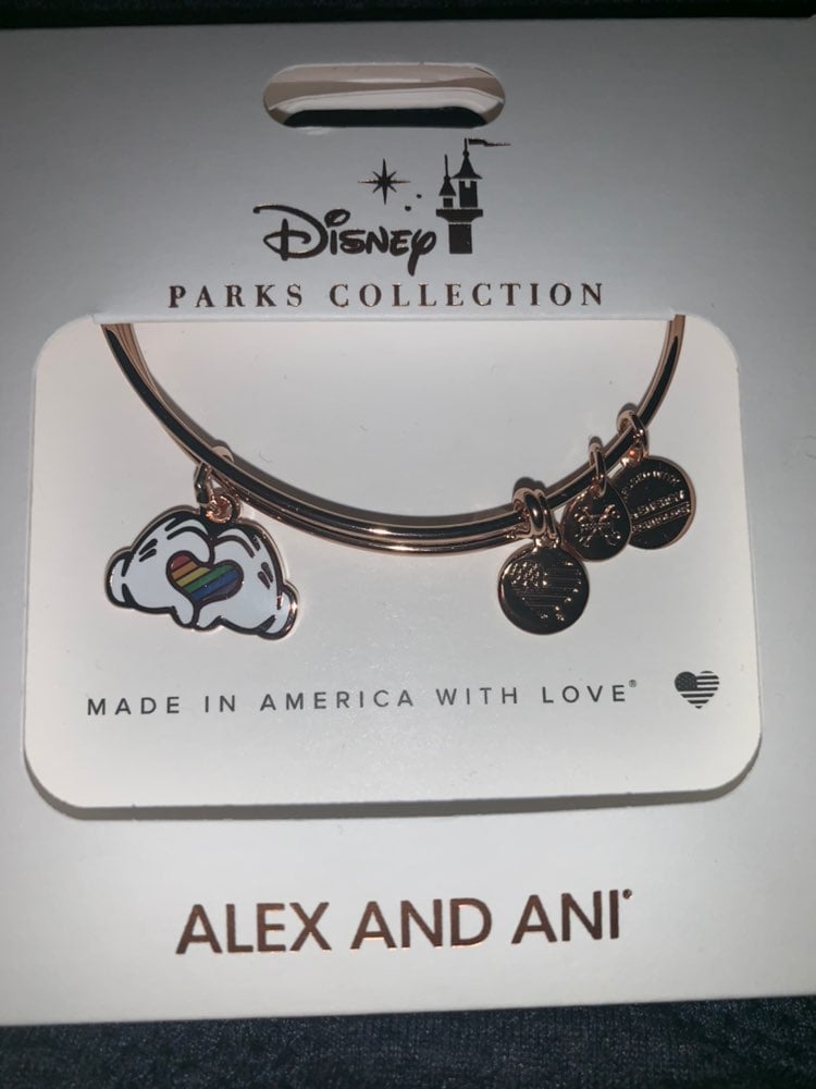 Disney Alex And Ani Gay Pride Days