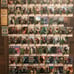 Gwent Cards (5 Decks | 482 Cards) Complete Set with Box