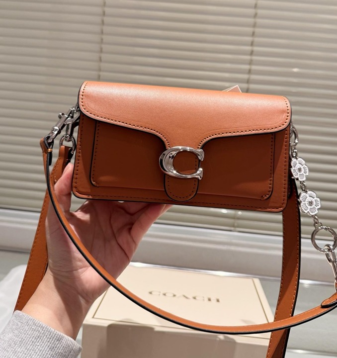 Coach Brown crossbody bag