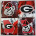 University of Georgia GO Dawgs Hand Pain