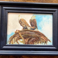 Framed artwork Eagles