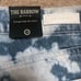BlankNYC The Barrow Tie Dye Denim Shorts Size 28