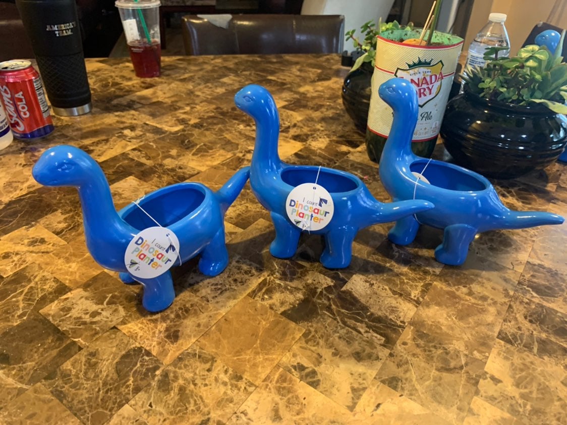 Target ceramic dinosour plantholder
