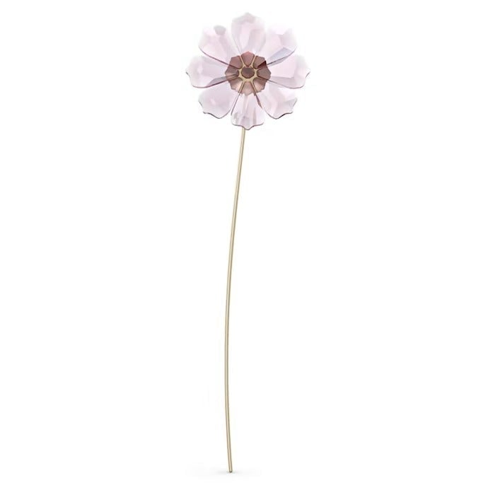 Swarovski Garden Tales Cosmos 5557801