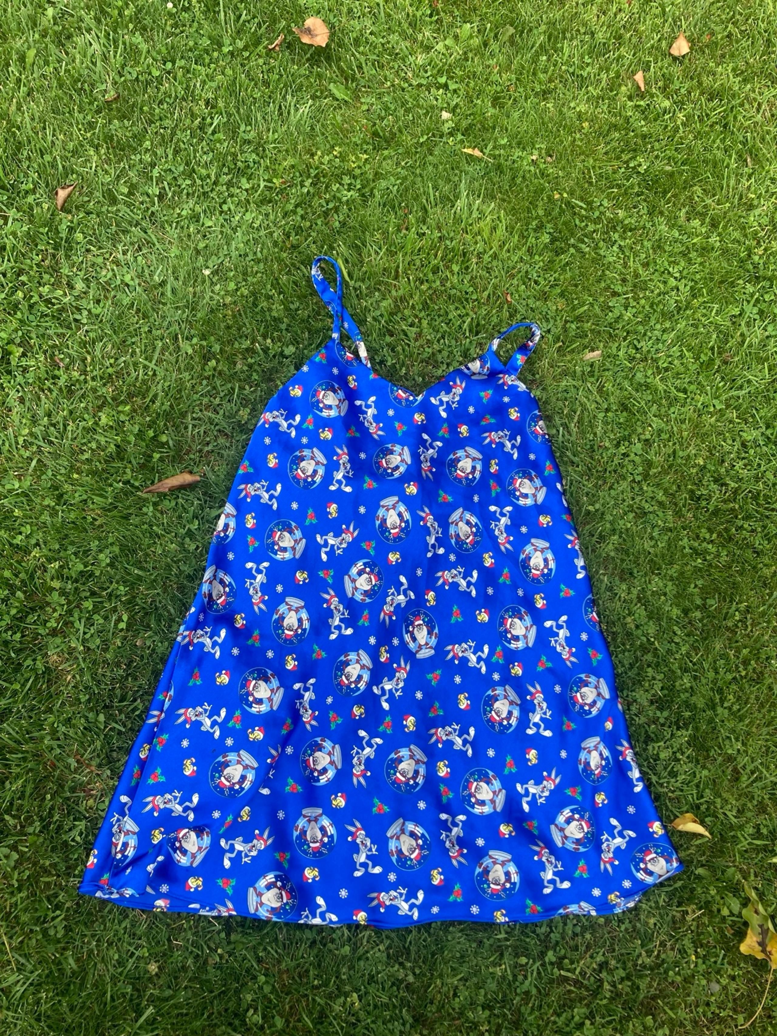 Vintage Looney Tunes Blue Silky Xmas Lingerie Dress