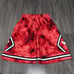 Mitchell & Ness NBA Chicago Bulls Galaxy NBA Swingman Jersey Shorts Mens S NEW
